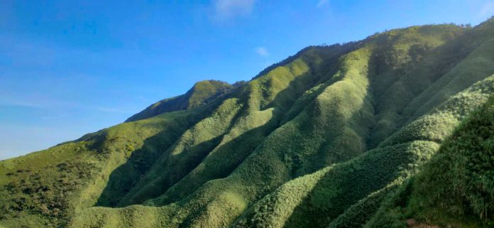 礁溪景點抹茶山