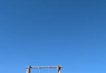 壯圍盪鞦韆